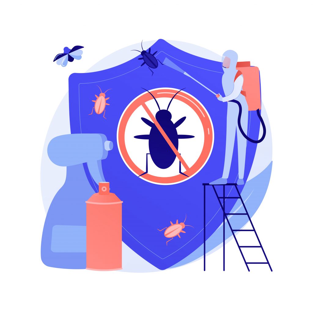 control de plagas murcia